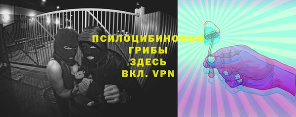 стафф Верея