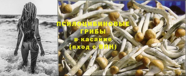 амф Осташков