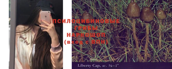 стафф Верея